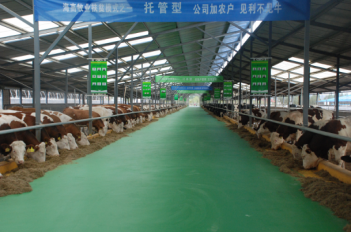 海高牧業(yè)廠區(qū)